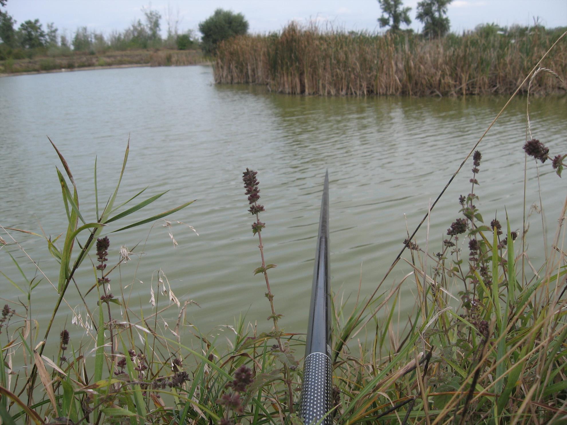 Draglina Biliesti Septembrie 2013 - img0752.JPG